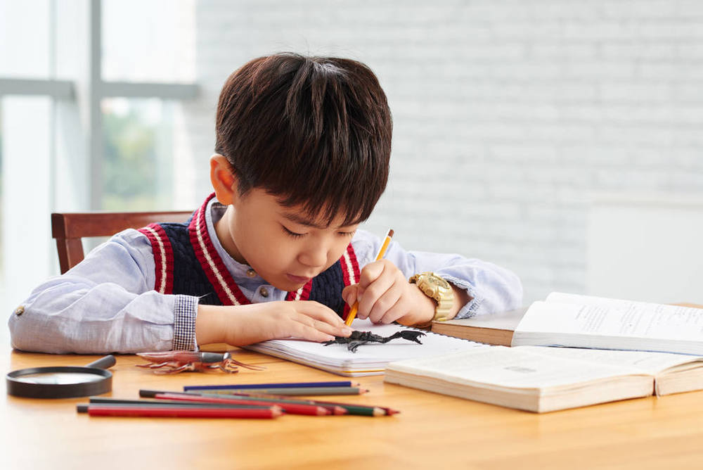 美国大学分子工程学专业怎么样？